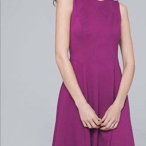 NWOT WHBM seamed violet sleeveless dress  size S